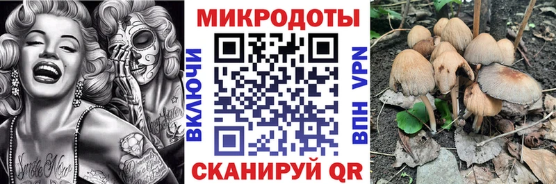 Галлюциногенные грибы ЛСД  где продают наркотики  Шимановск 